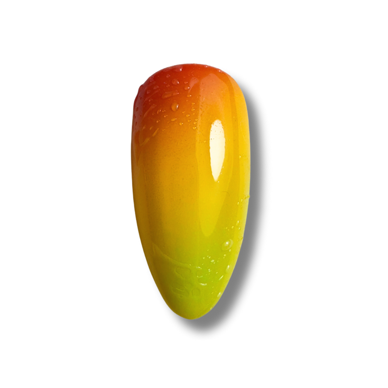 Mangue